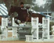 emcostallionservices.com Katric