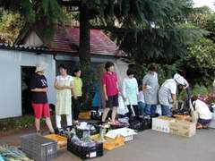 members.stvnet.home.ne.jp Katyan