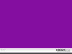 colourlovers.com Katzchen