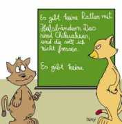 de.toonpool.com Katzen