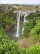 Kauei