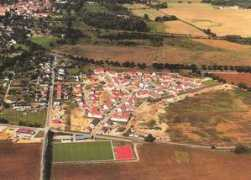 Kausche