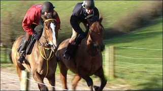 news.bbc.co.uk Kauto