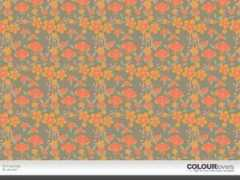 colourlovers.com Kautsar