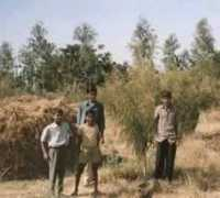 thenrgroup.net Kawad