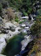 Kaweah