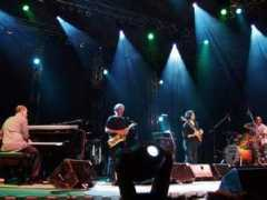 yellowjackets.dds.nl Kaweewut