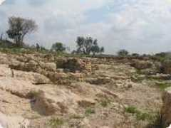 Kayafa