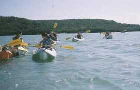 abessnorkeling.com Kayaks