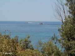 Kayasi