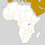 afromix.org Kayirebwa