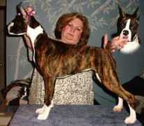 shadowdaleboxers.com Kaylib