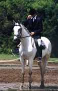 middletonmeadows.com Kazaam