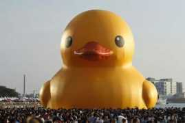 Kchao