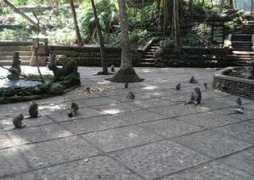 tourdriver-bali.com Kedaton