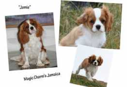 magic-charm.com Keetan