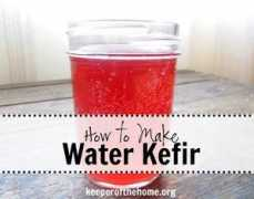 Kefir
