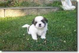 Keiby