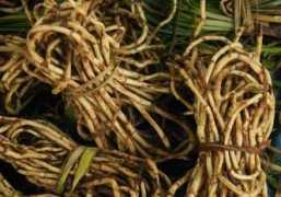 gernot-katzers-spice-pages.com Keithel