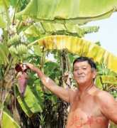 Kelabu