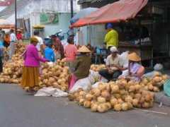 Kelapa