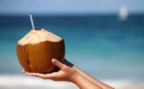 sidomi.com Kelapa