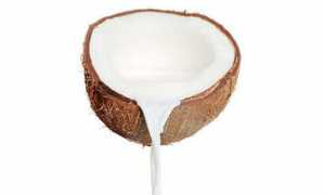 Kelapa