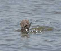 lukijoidenkuvat.hs.fi Kelavuori