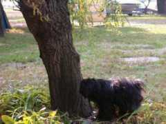 gallery.site.hu Kellene