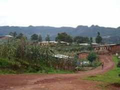 Kelum