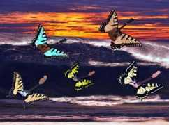 fineartamerica.com Kempson