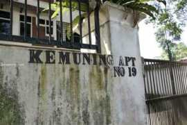 Kemuning