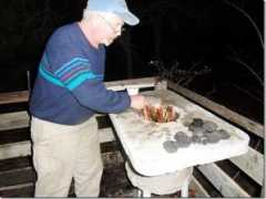 biochar-international.org Kenaf