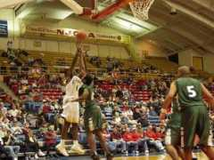 chipola.edu Kendaris