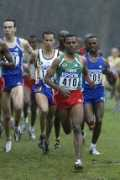 letsrun.com Kenisa