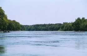 Kennebec