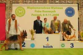 podajlape.pl Kenola