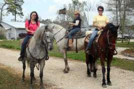 splendorfarms.com Kentura