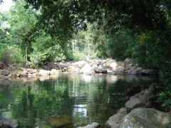 indiaonrent.com Keralam