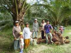 eco-business.com Keresa