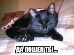 sepp.offline.ee Kerge