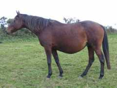 lydielemmens.free.fr Keriel