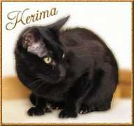 Kerima