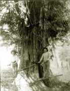 barlowgenealogy.com Kerola