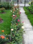 garden-en.com Kerova
