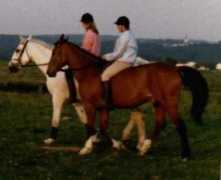 Kersel