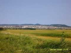 Kesan