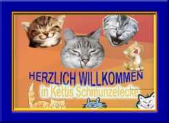 superketti.com Kettis
