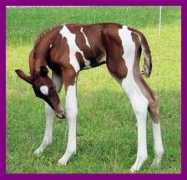 Keyth