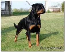 Keza